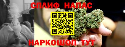 apvp Тверь