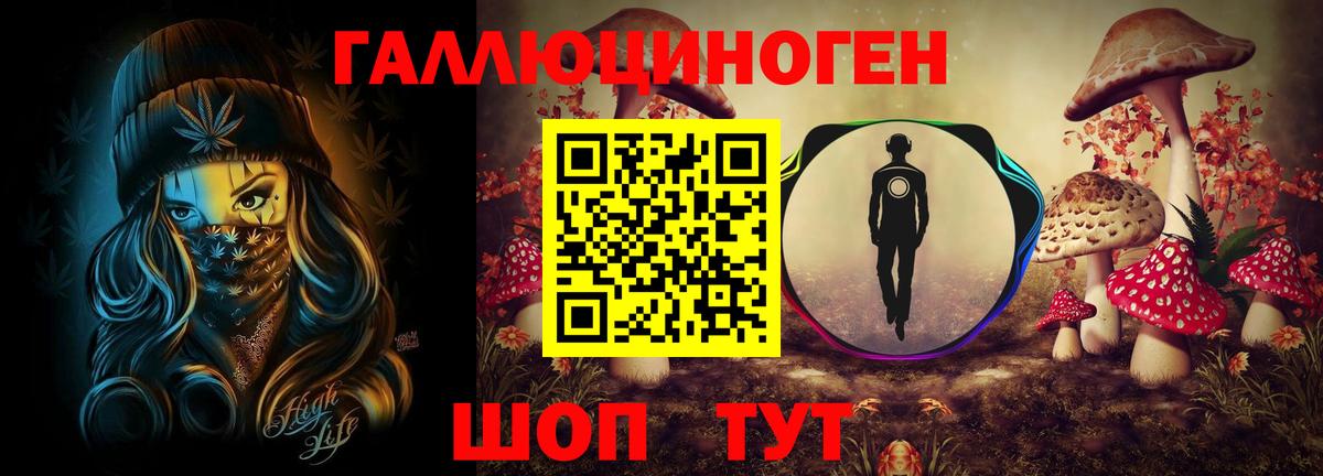 Галлюциногенные грибы прущие грибы Новороссийск