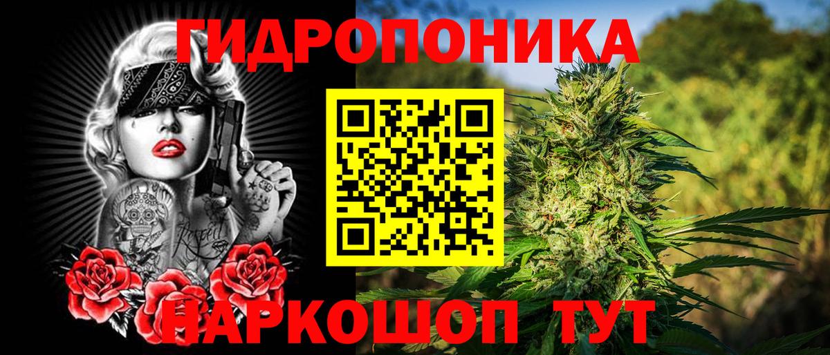 Каннабис Bruce Banner Новороссийск